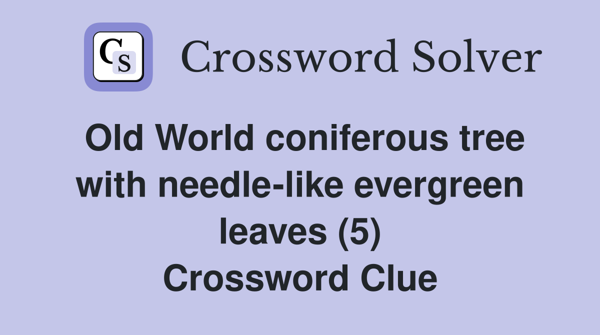 Old World coniferous tree with needle-like evergreen leaves (5) Crossword Clue