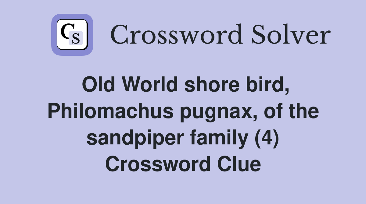 Old World shore bird, Philomachus pugnax, of the sandpiper family (4) Crossword Clue