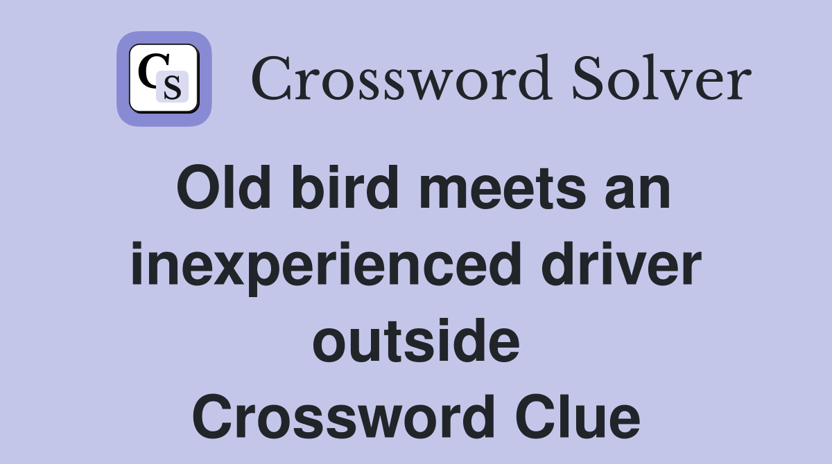 Old bird meets an inexperienced driver outside Crossword Clue