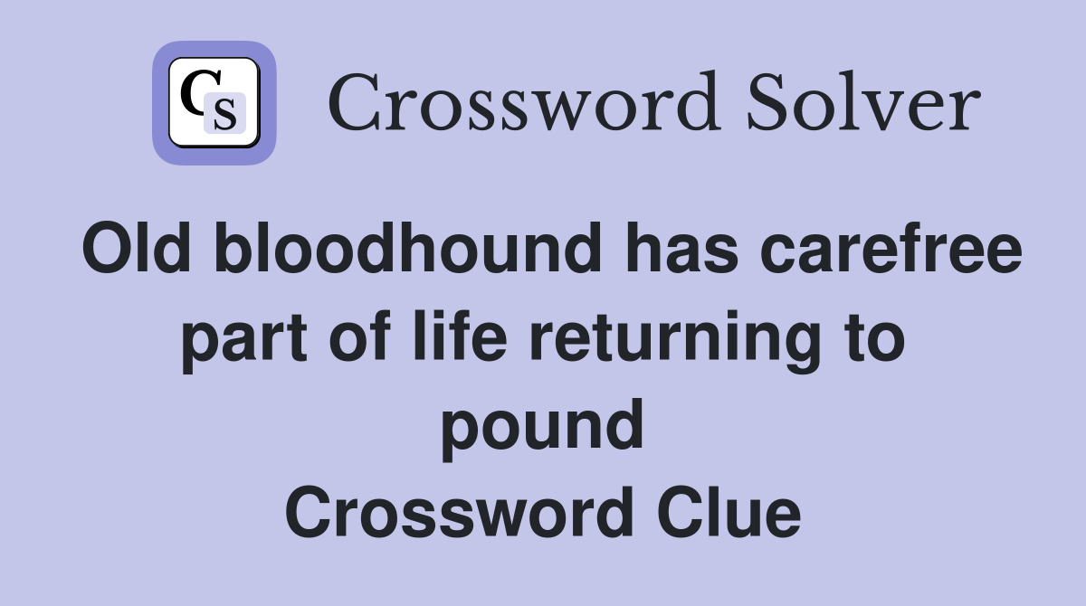 Old bloodhound has carefree part of life returning to pound Crossword Clue
