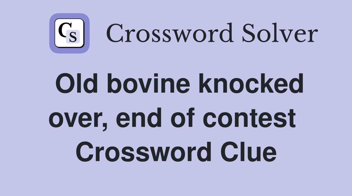 Old bovine knocked over, end of contest  Crossword Clue
