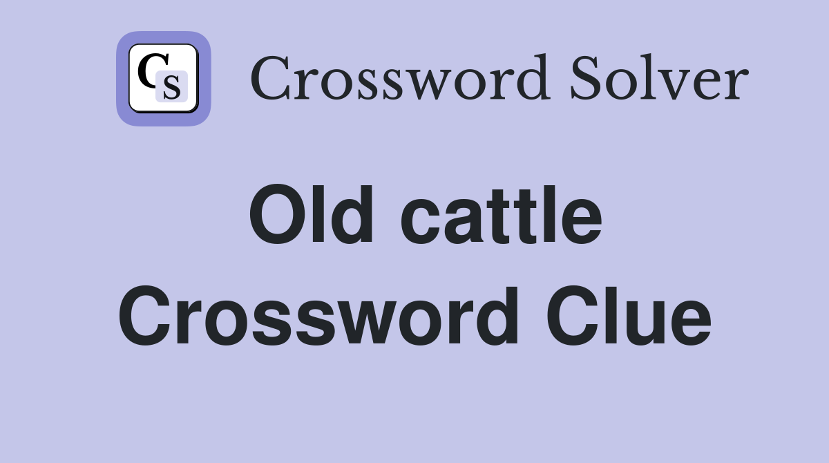 Old cattle Crossword Clue