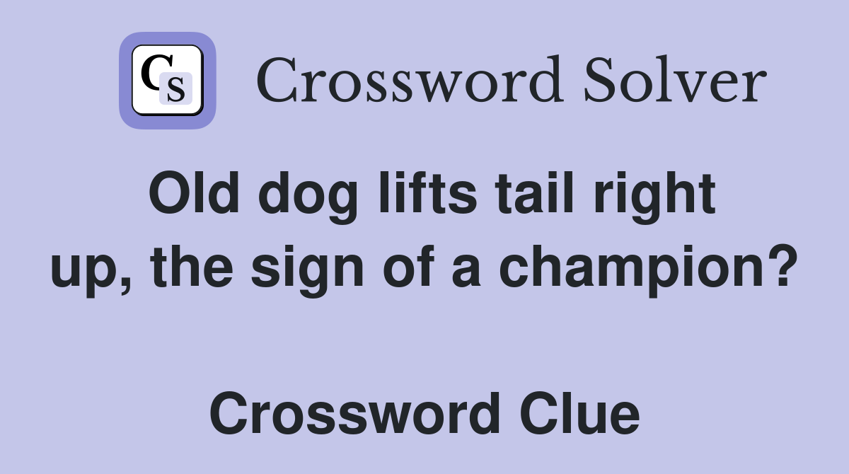 Old dog lifts tail right up, the sign of a champion?  Crossword Clue