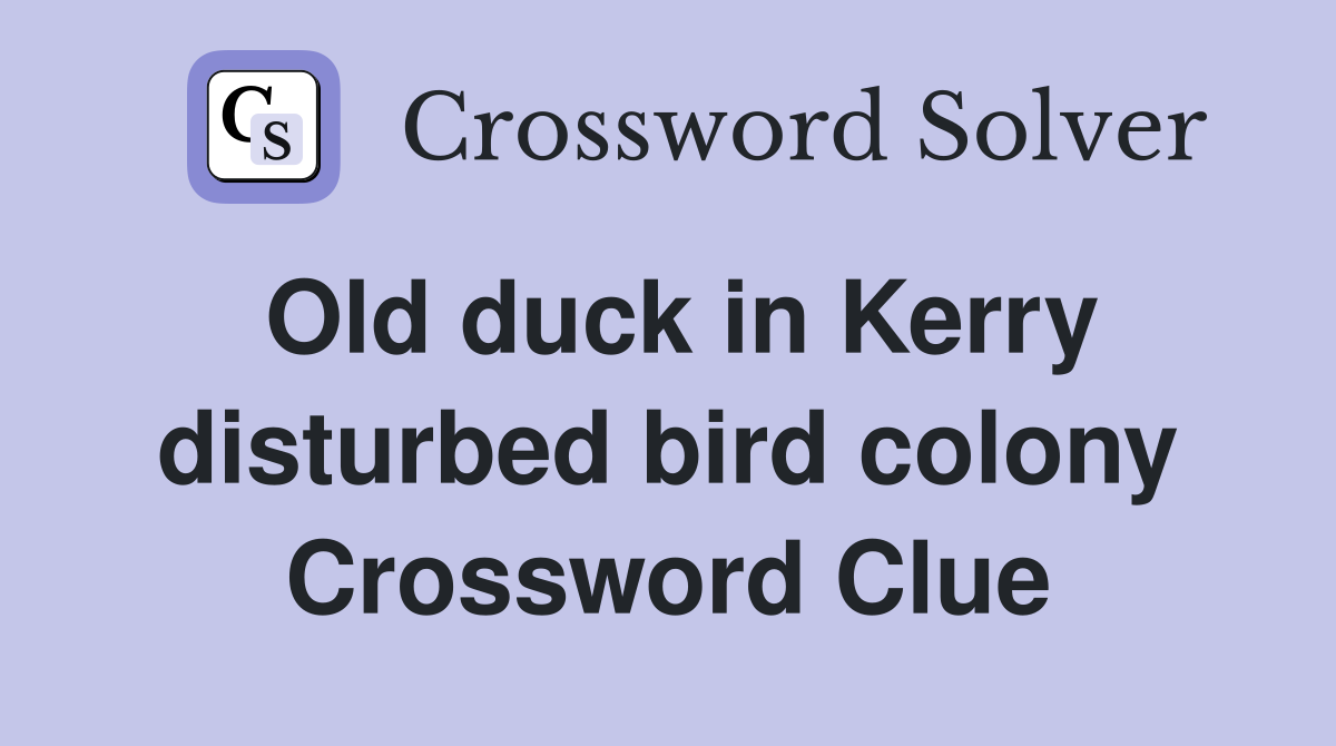 Old duck in Kerry disturbed bird colony Crossword Clue