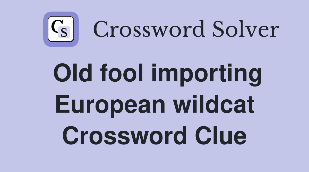 Old fool importing European wildcat Crossword Clue