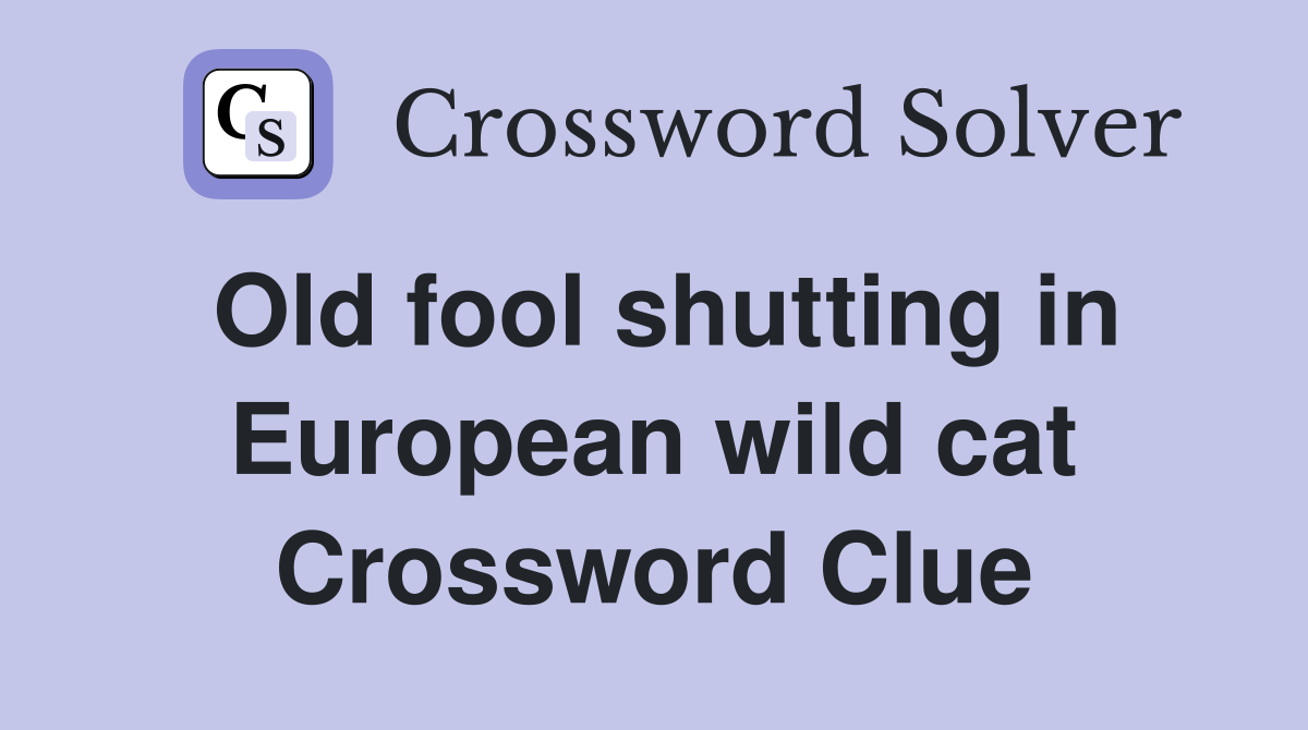 Old fool shutting in European wild cat Crossword Clue