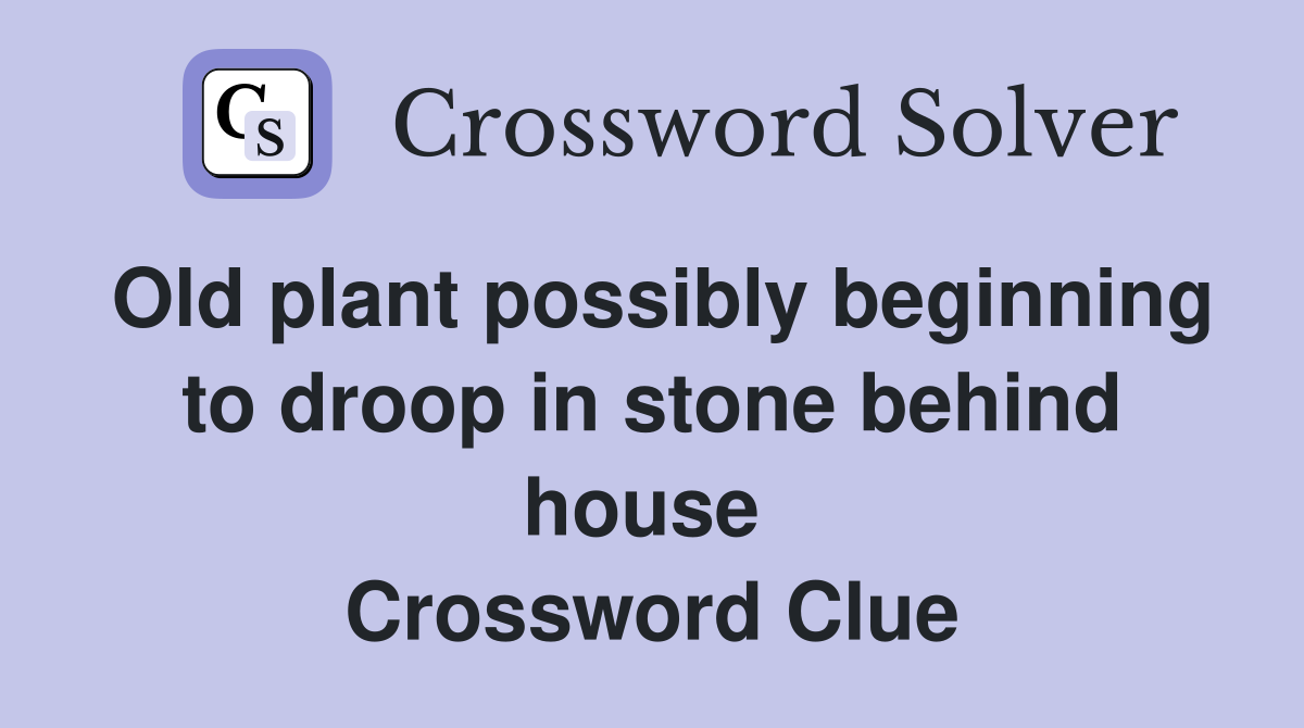 Old plant possibly beginning to droop in stone behind house  Crossword Clue