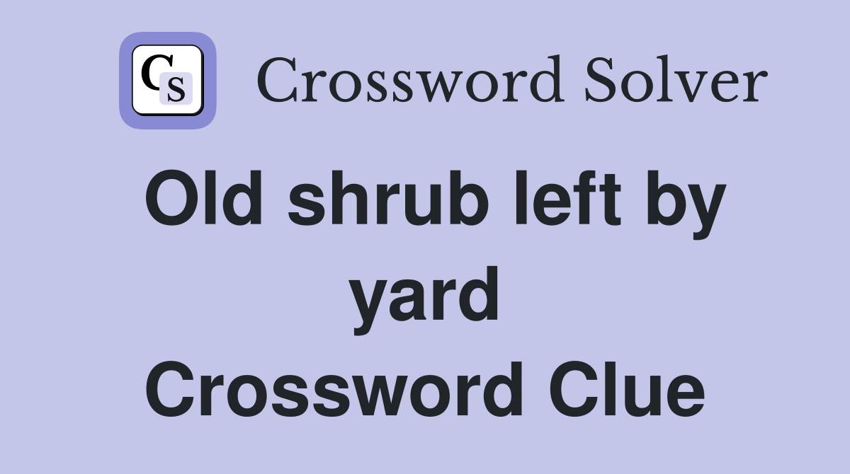 Old shrub left by yard Crossword Clue