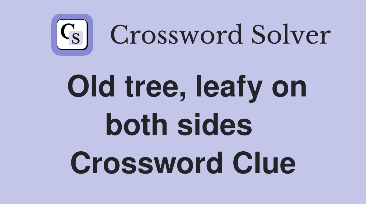 Old tree, leafy on both sides  Crossword Clue
