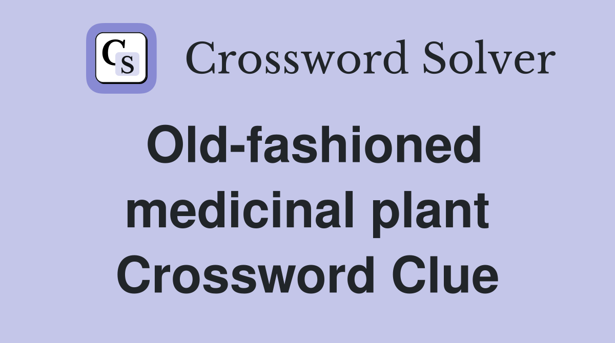 Old-fashioned medicinal plant Crossword Clue