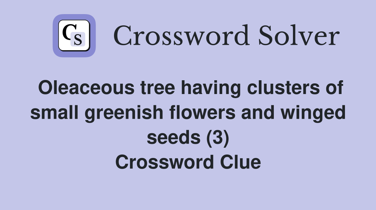 Oleaceous tree having clusters of small greenish flowers and winged seeds (3) Crossword Clue