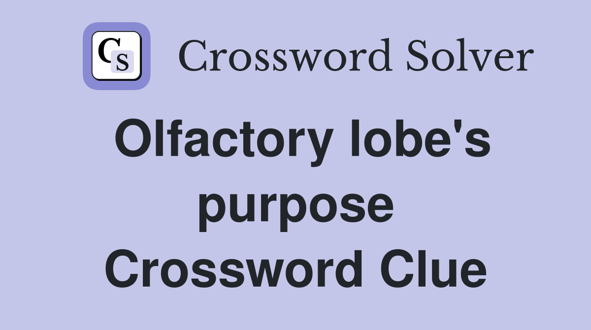 Olfactory lobe's purpose Crossword Clue