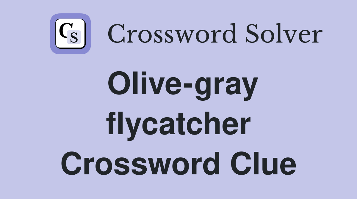 Olive-gray flycatcher Crossword Clue