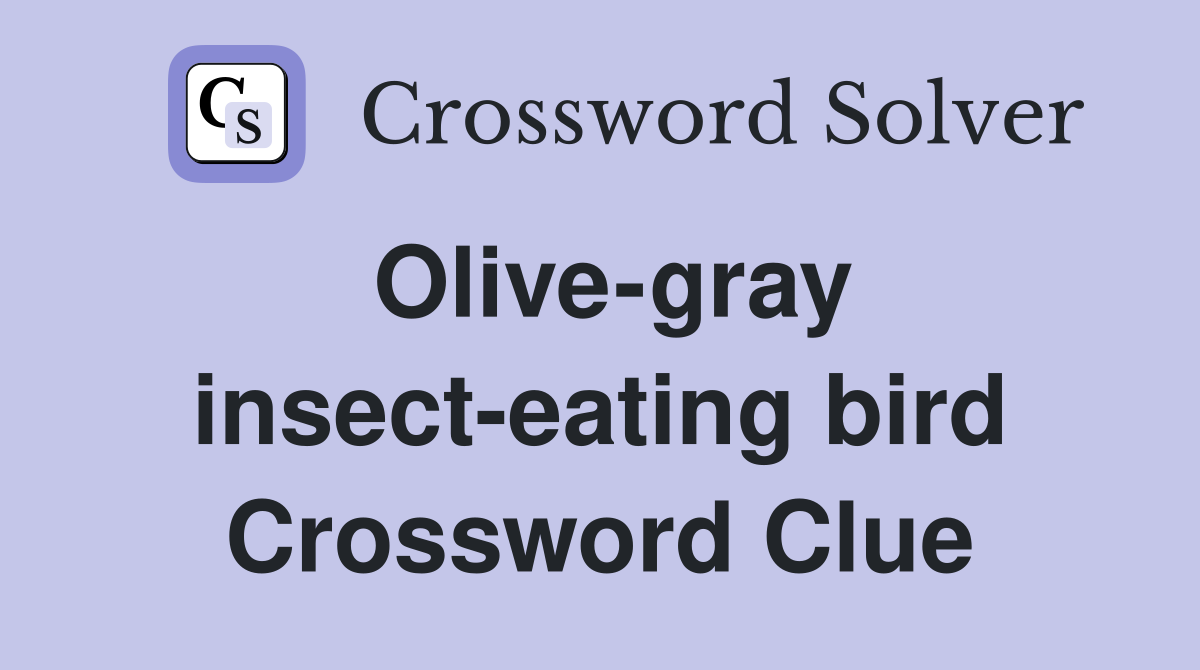 Olive-gray insect-eating bird Crossword Clue