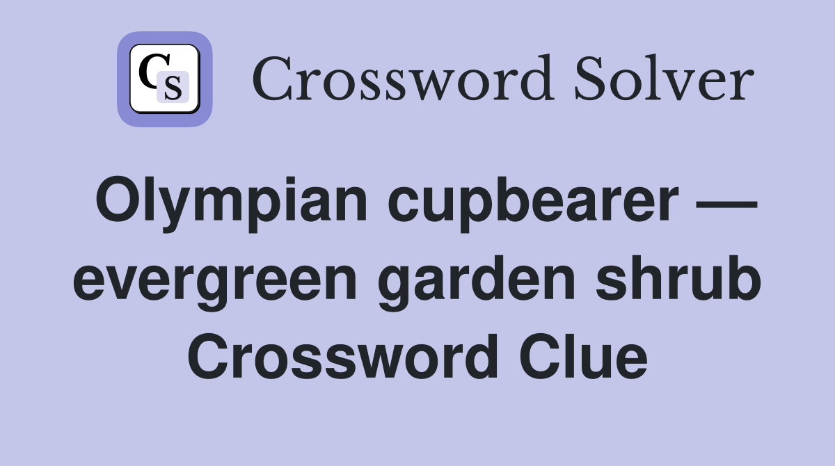 Olympian cupbearer — evergreen garden shrub Crossword Clue