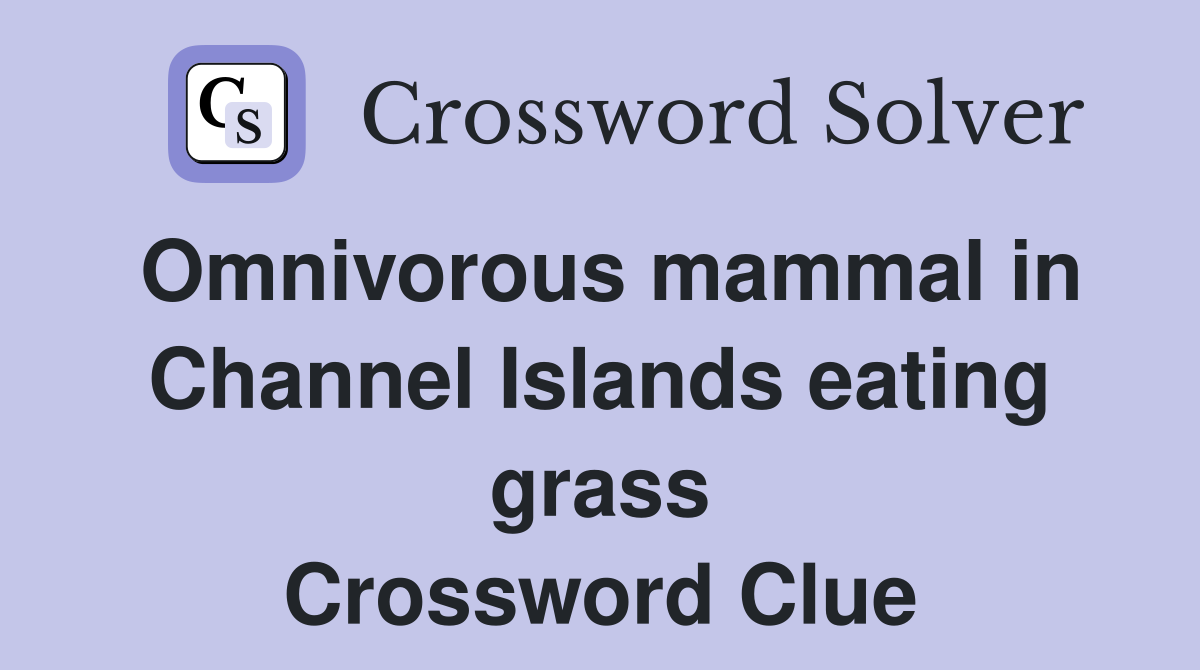 Omnivorous mammal in Channel Islands eating grass Crossword Clue