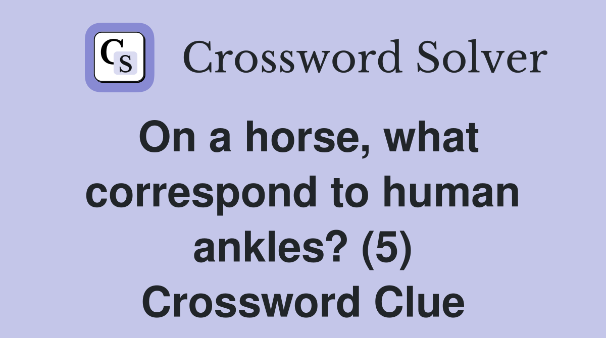 On a horse, what correspond to human ankles? (5) Crossword Clue