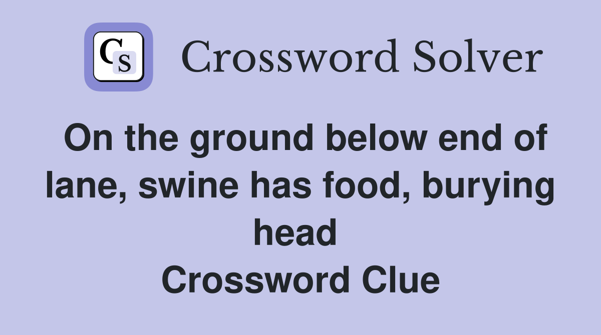 On the ground below end of lane, swine has food, burying head  Crossword Clue