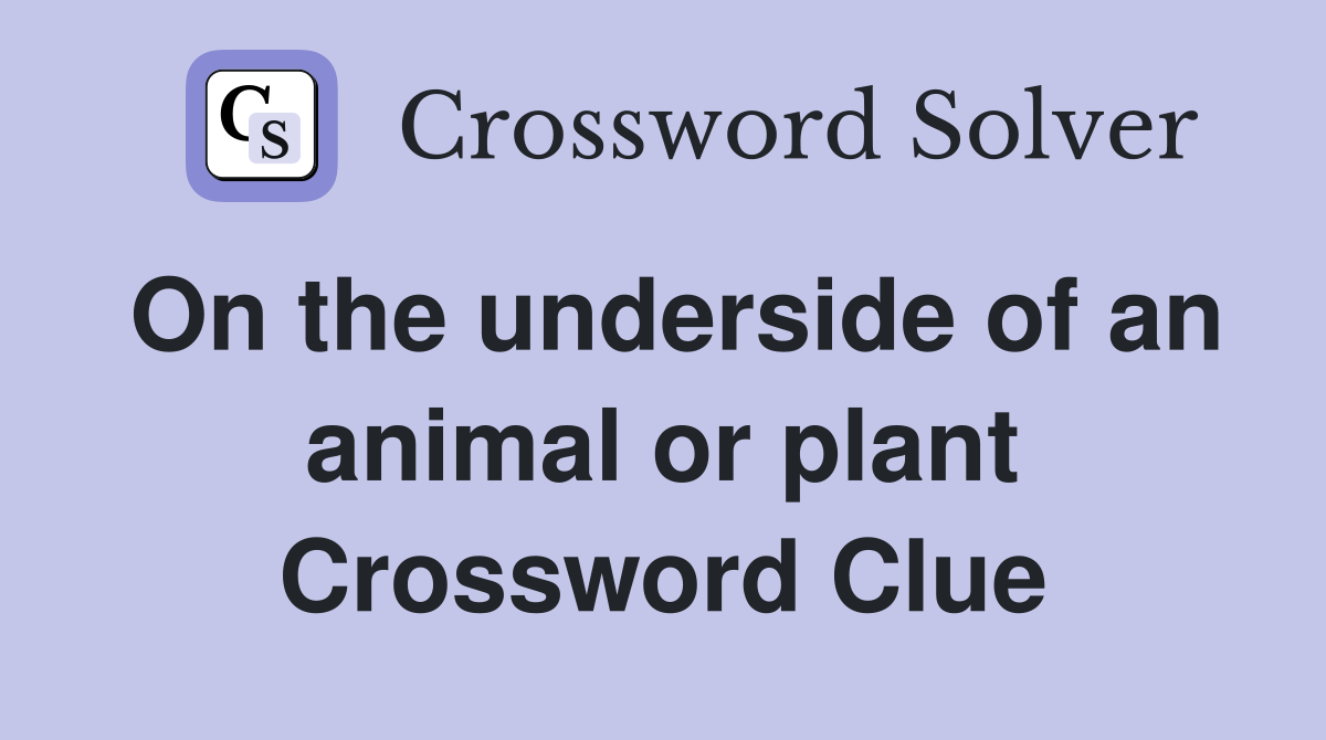 On the underside of an animal or plant Crossword Clue