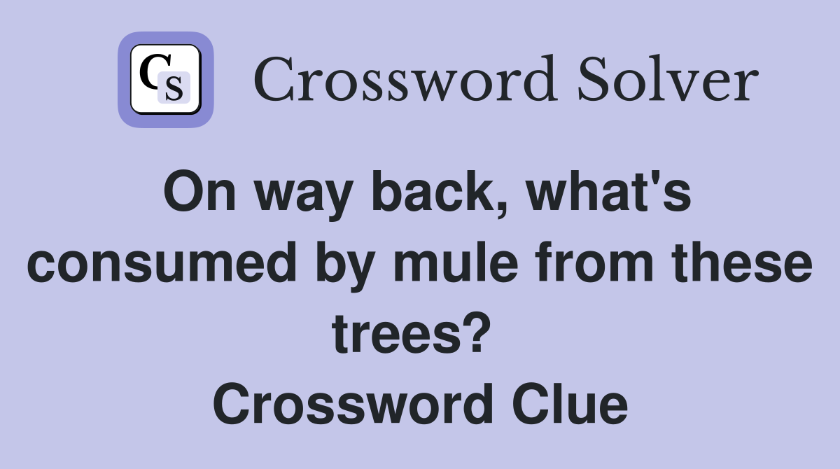 On way back, what's consumed by mule from these trees?  Crossword Clue