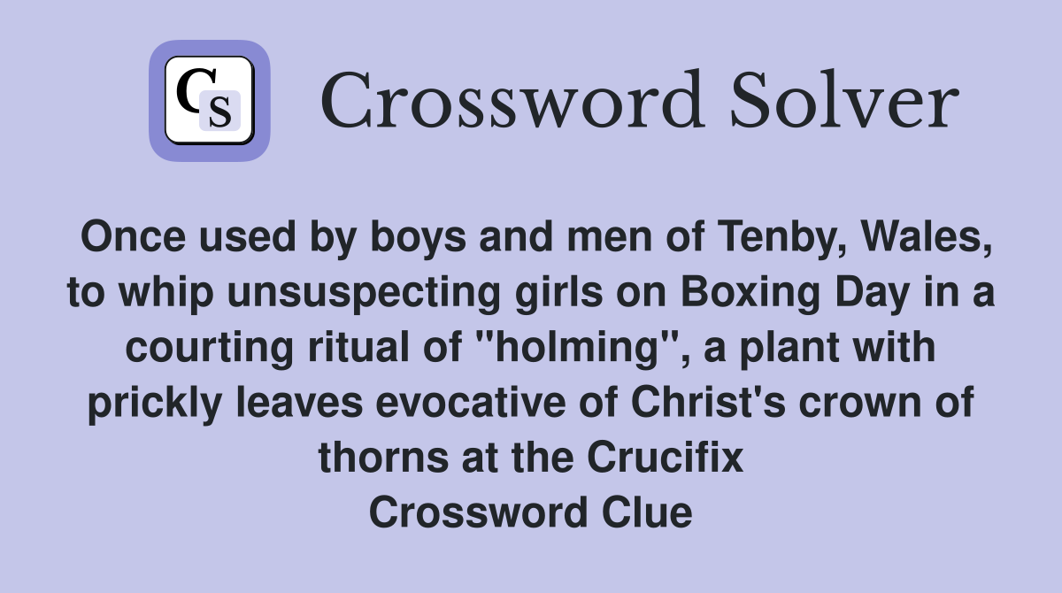 Once used by boys and men of Tenby, Wales, to whip unsuspecting girls on Boxing Day in a courting ritual of "holming", a plant with prickly leaves evocative of Christ's crown of thorns at the Crucifix Crossword Clue