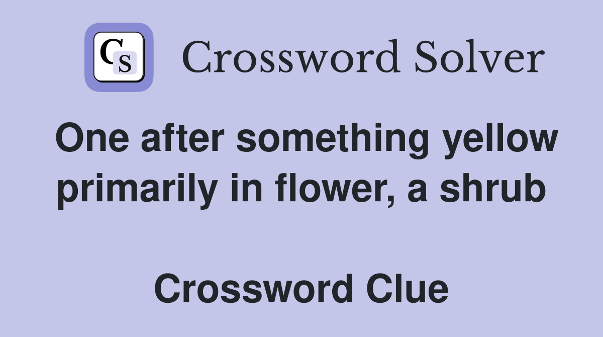 One after something yellow primarily in flower, a shrub  Crossword Clue