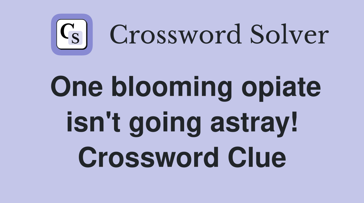 One blooming opiate isn't going astray! Crossword Clue