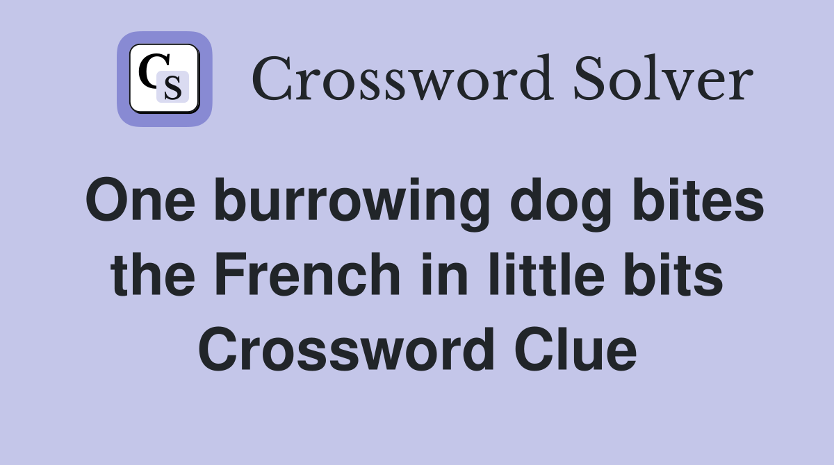 One burrowing dog bites the French in little bits Crossword Clue