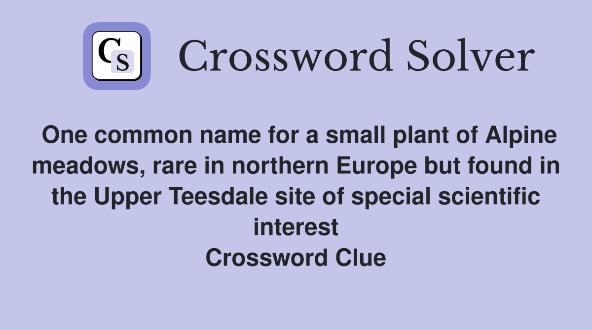 One common name for a small plant of Alpine meadows, rare in northern Europe but found in the Upper Teesdale site of special scientific interest Crossword Clue
