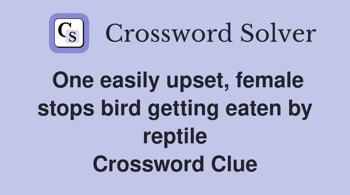 One easily upset, female stops bird getting eaten by reptile Crossword Clue