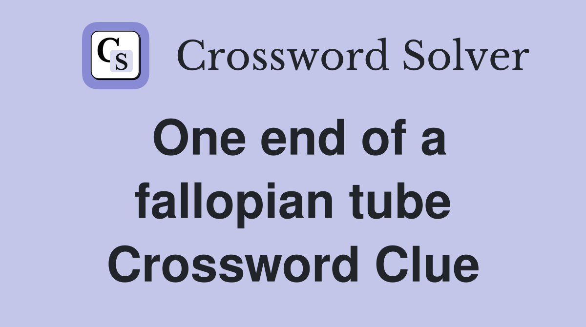 One end of a fallopian tube Crossword Clue