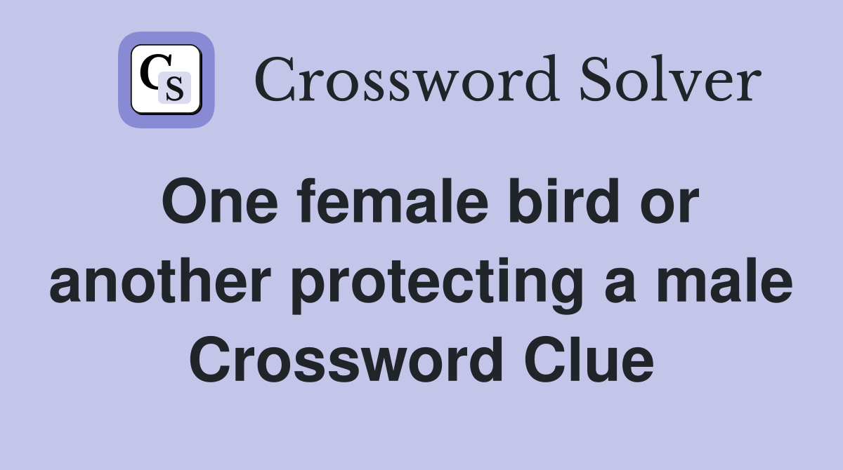 One female bird or another protecting a male Crossword Clue