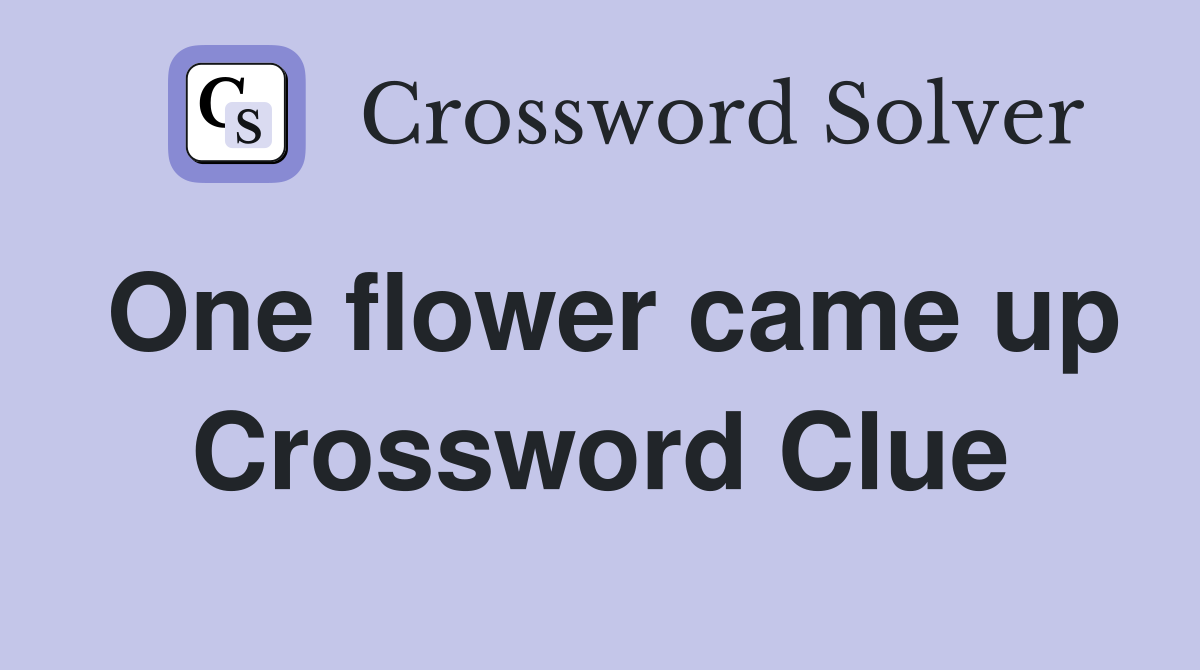 One flower came up Crossword Clue