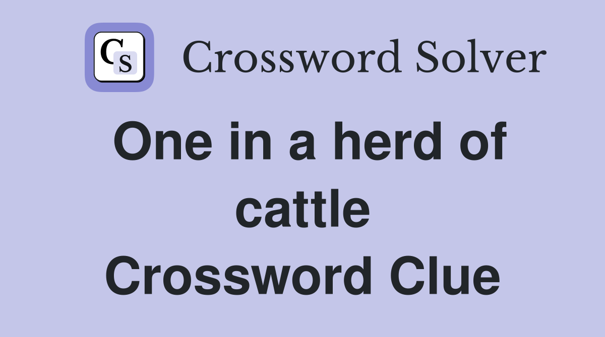 One in a herd of cattle Crossword Clue