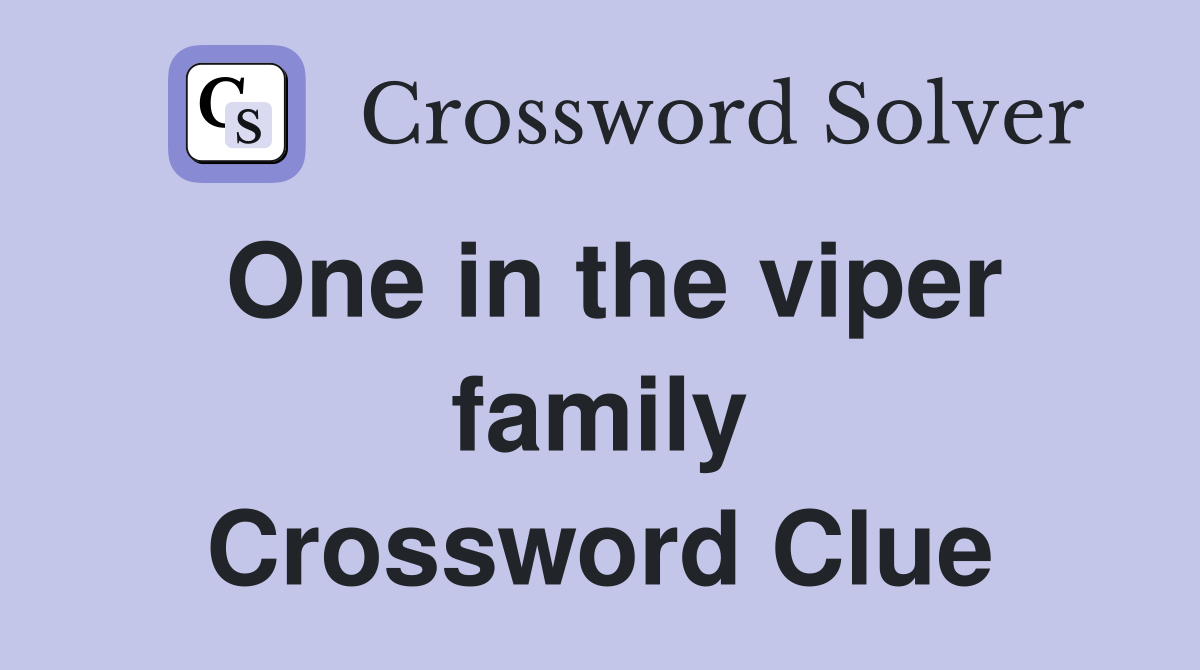 One in the viper family Crossword Clue