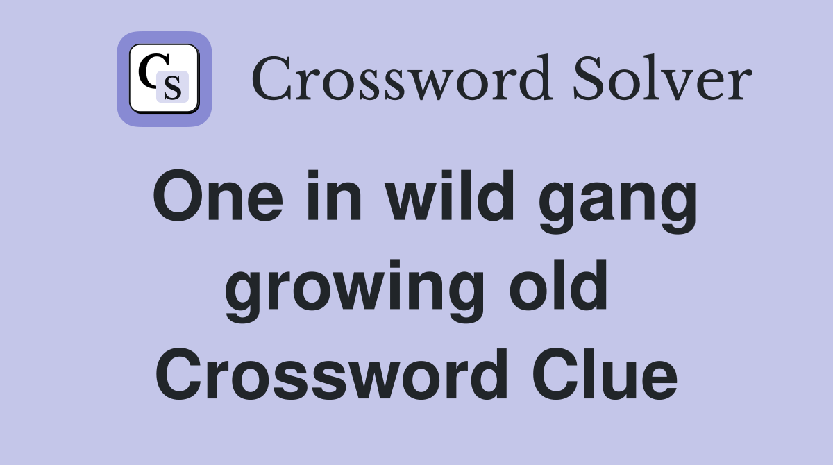 One in wild gang growing old Crossword Clue