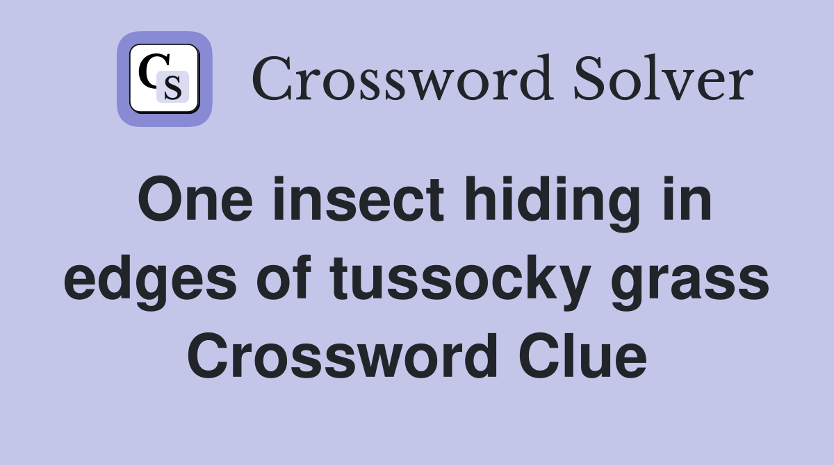 One insect hiding in edges of tussocky grass Crossword Clue