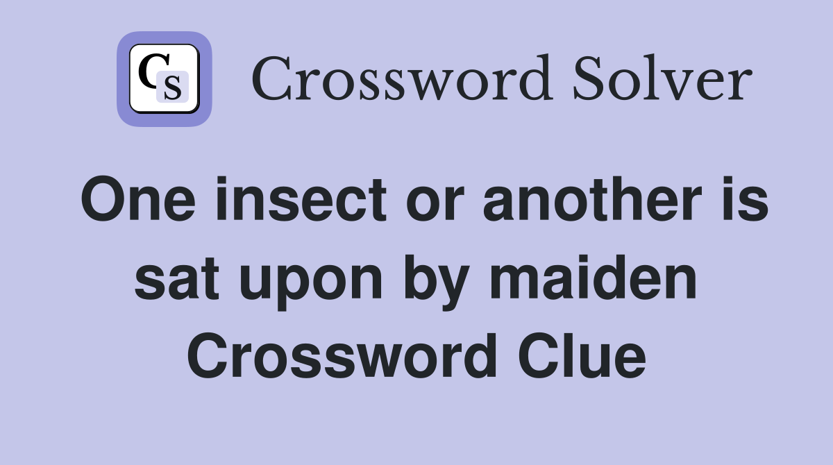 One insect or another is sat upon by maiden Crossword Clue