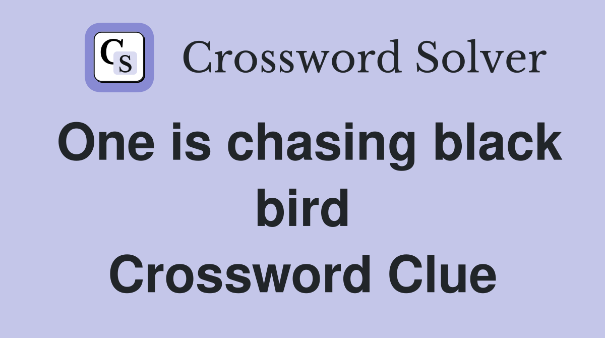 One is chasing black bird Crossword Clue