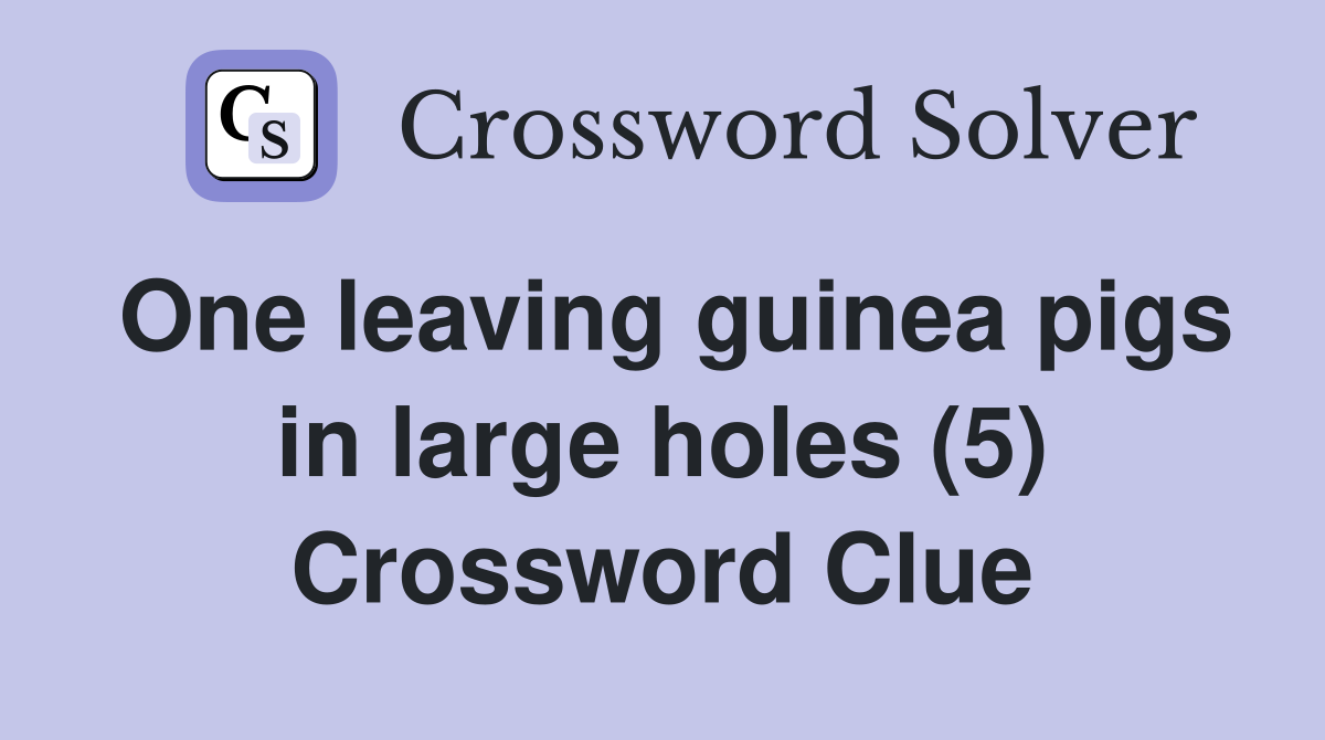 One leaving guinea pigs in large holes (5) Crossword Clue