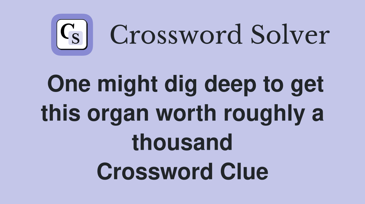 One might dig deep to get this organ worth roughly a thousand Crossword Clue