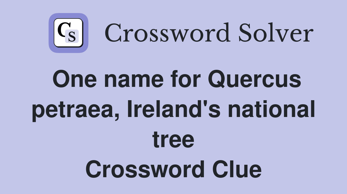 One name for Quercus petraea, Ireland's national tree Crossword Clue