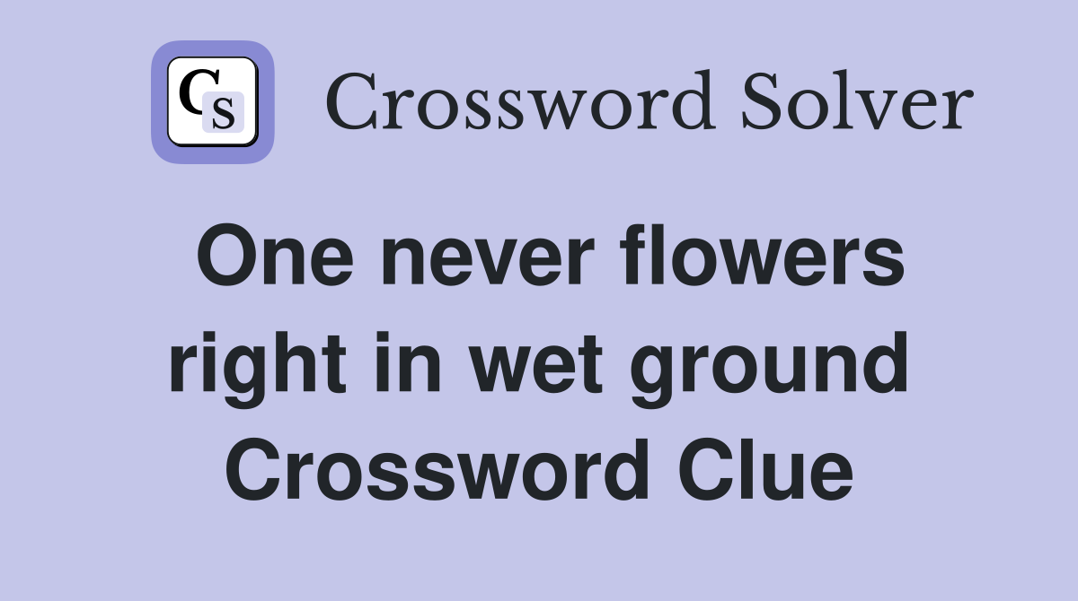 One never flowers right in wet ground Crossword Clue