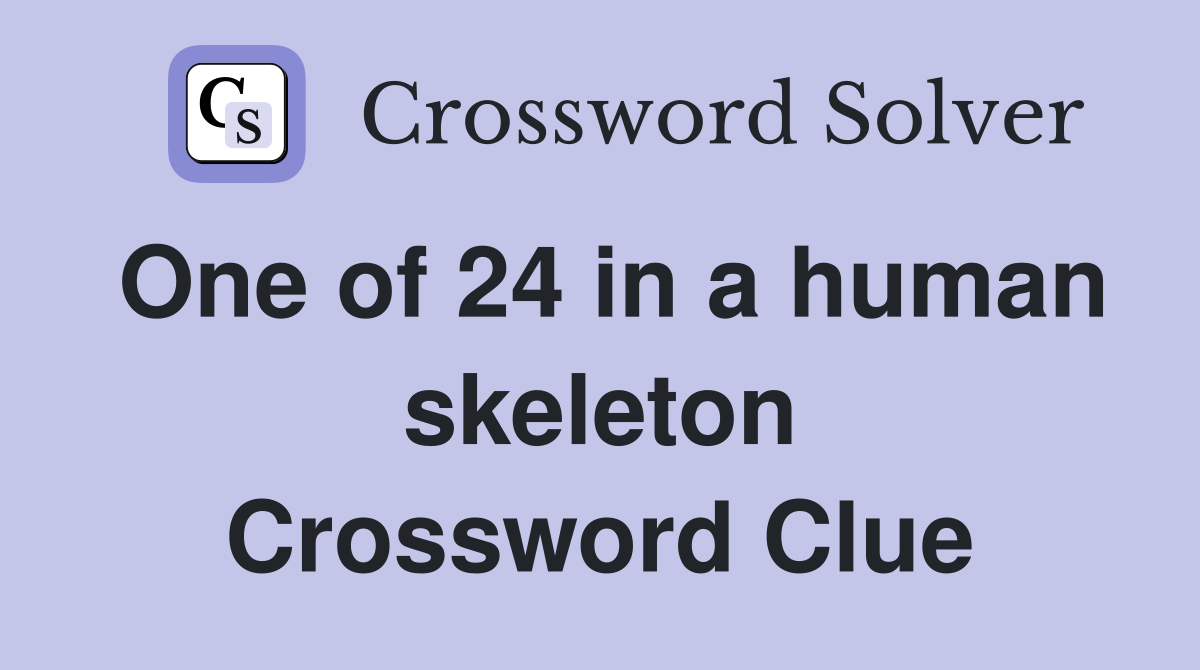 One of 24 in a human skeleton Crossword Clue