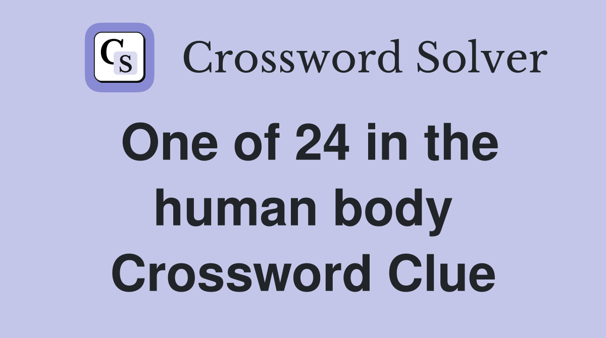 One of 24 in the human body Crossword Clue