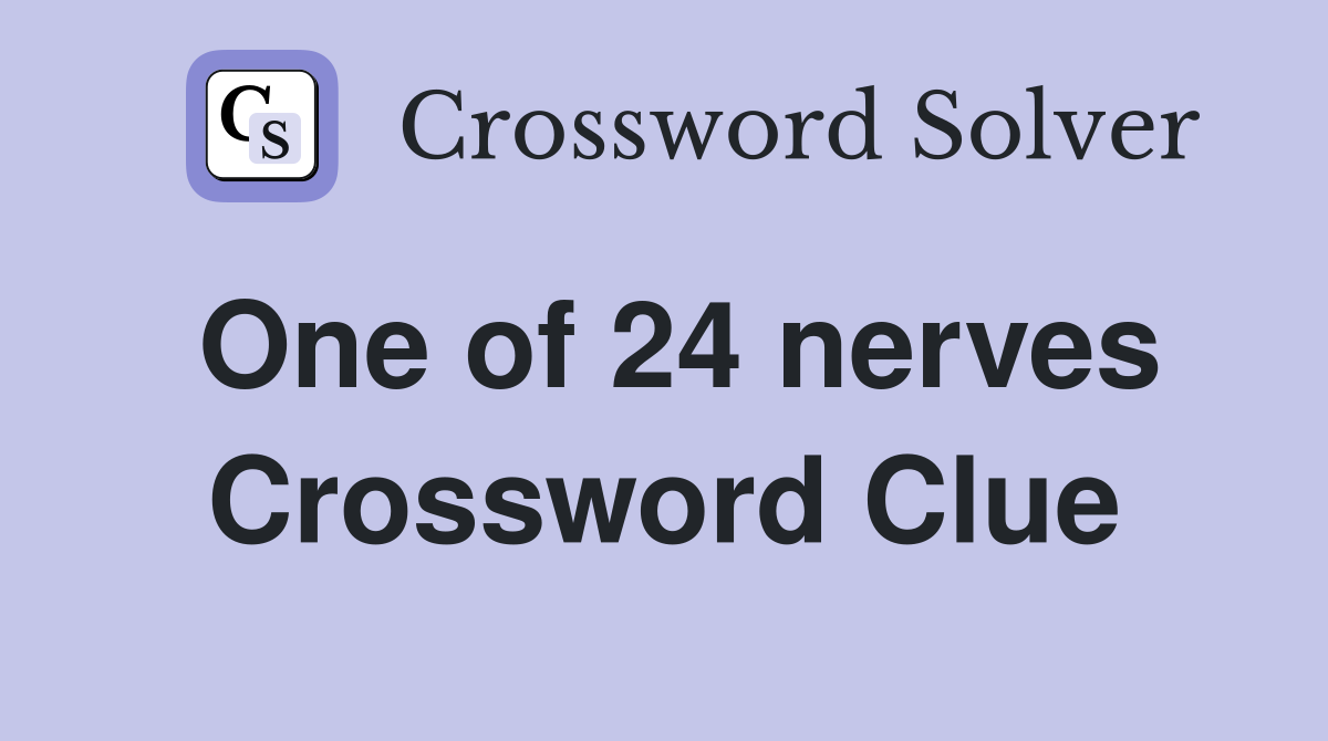 One of 24 nerves Crossword Clue