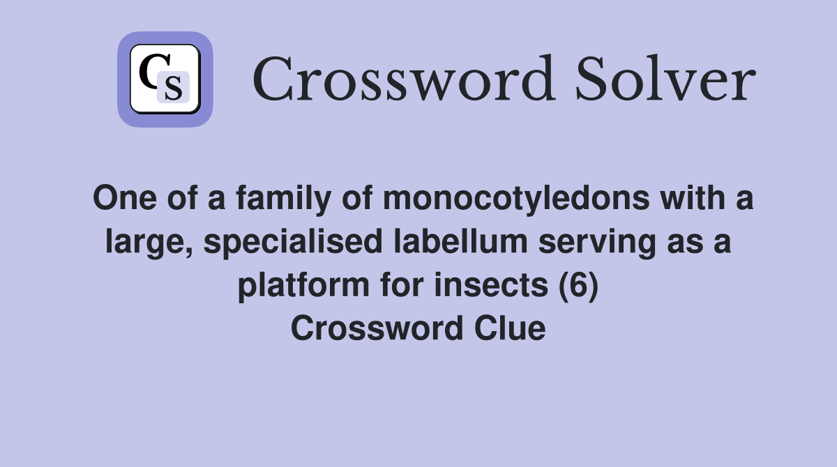 One of a family of monocotyledons with a large, specialised labellum serving as a platform for insects (6) Crossword Clue