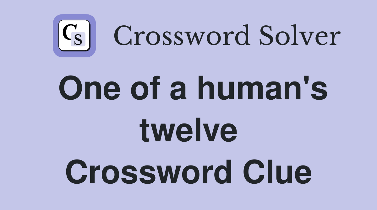 One of a human's twelve Crossword Clue