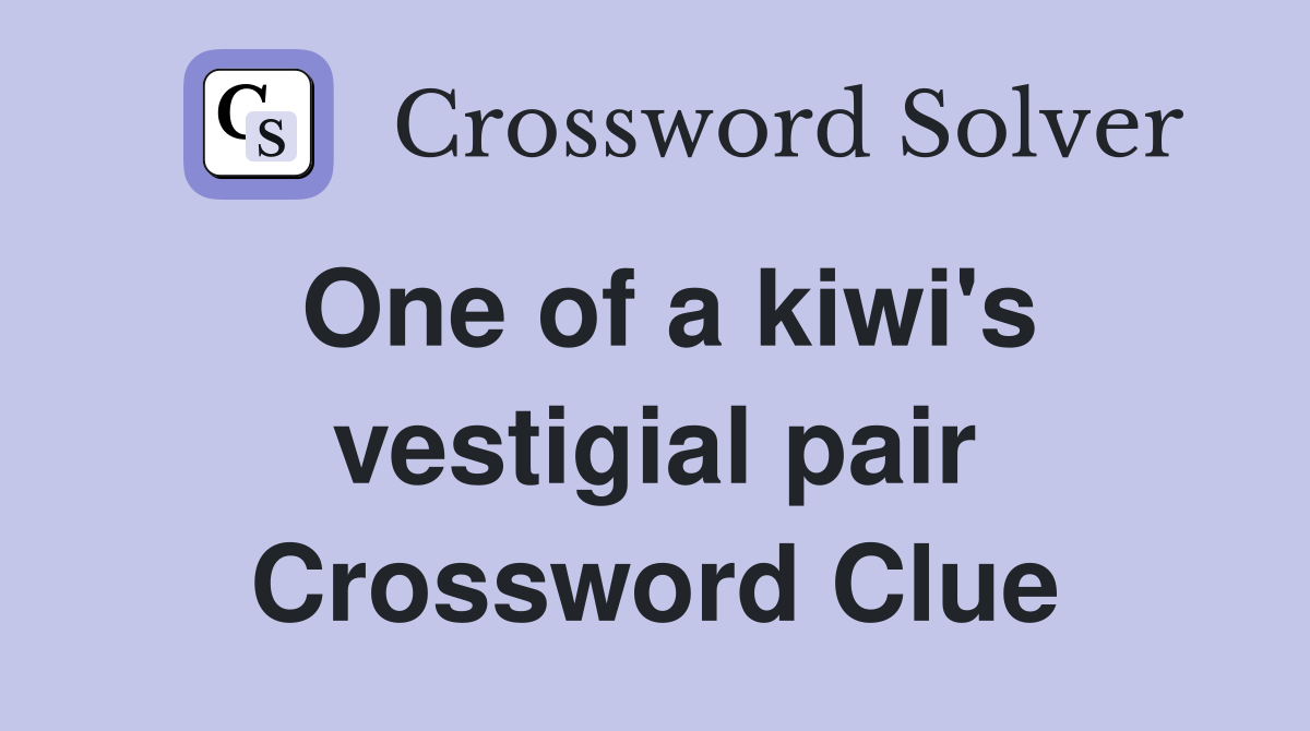 One of a kiwi's vestigial pair Crossword Clue
