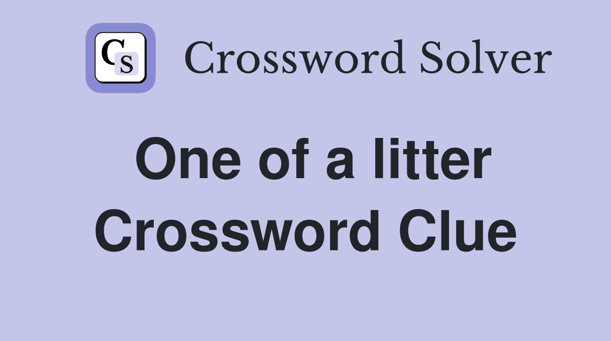 One of a litter Crossword Clue